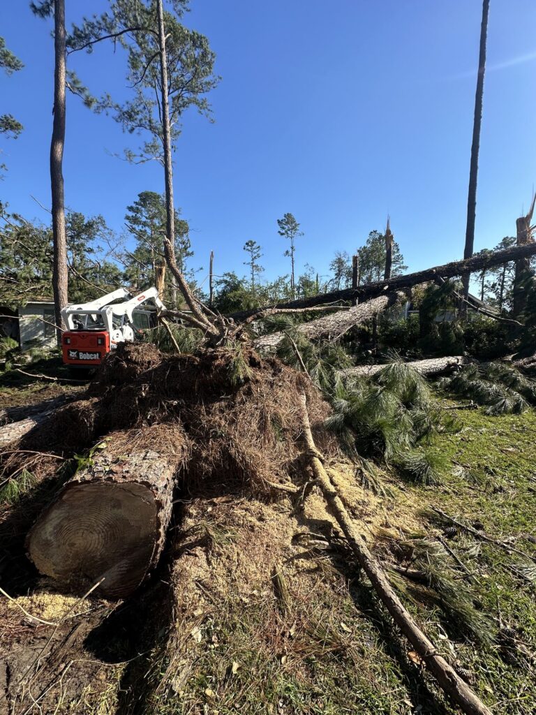 Land Clearing