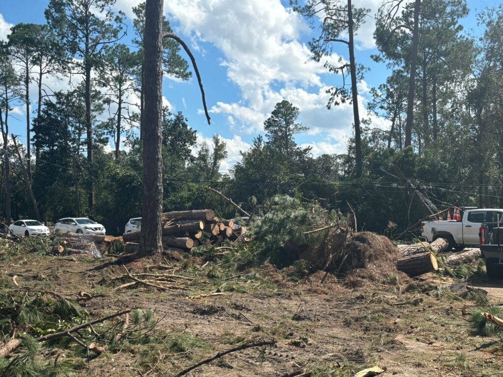Logging Services